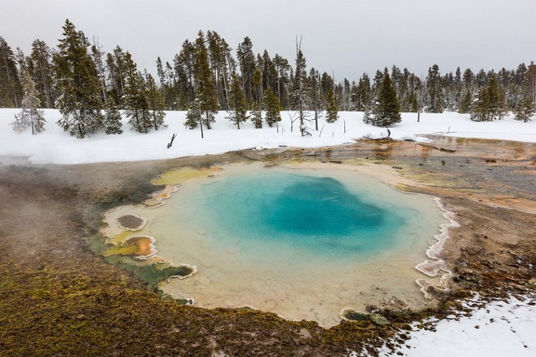 29 Yellowstone NP.jpg